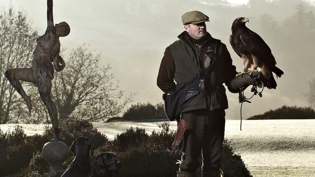 Artisan Retreats - Falconry 2