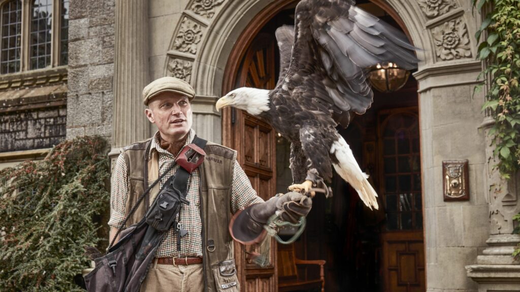 Artisan Retreats - Falconry 3