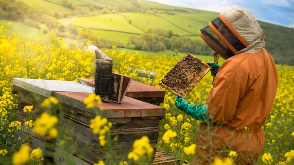 Beekeeper Quince Honey Farm
