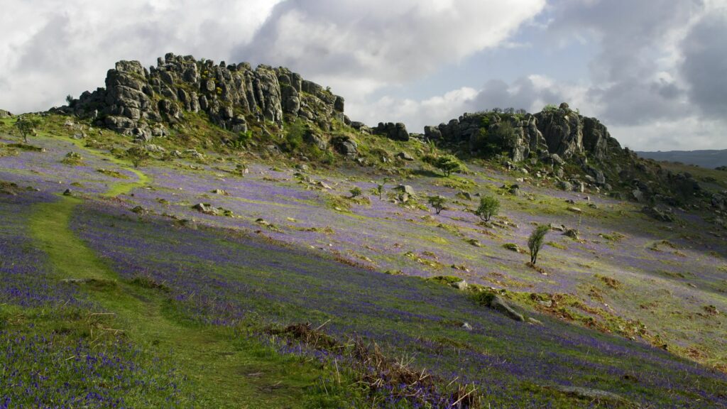 Dartmoor National Park